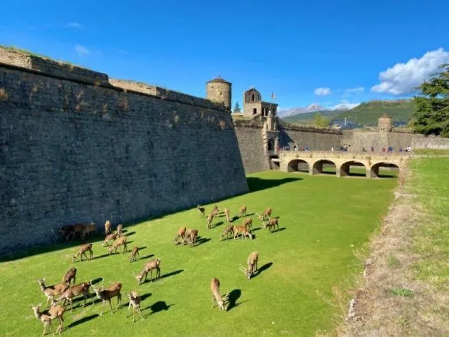 Apartamento Leire Centro Jaca